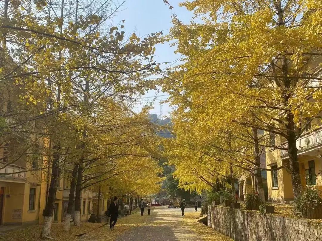 图源：广东林业